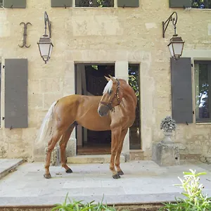Bed & Breakfast Domaine Cap Rubis, Paradou